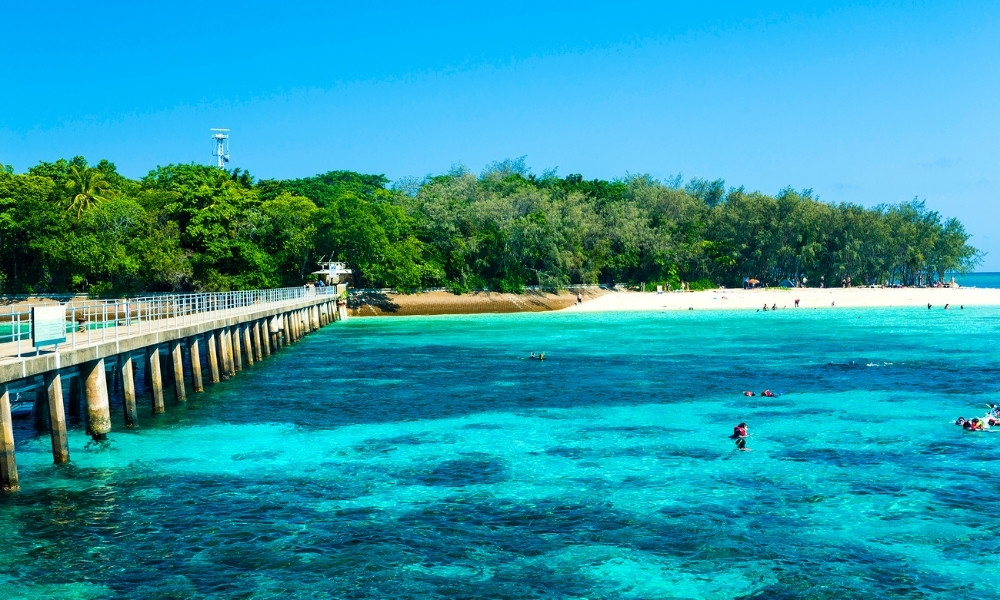 Great Barrier Reef cảnh đẹp nước úc