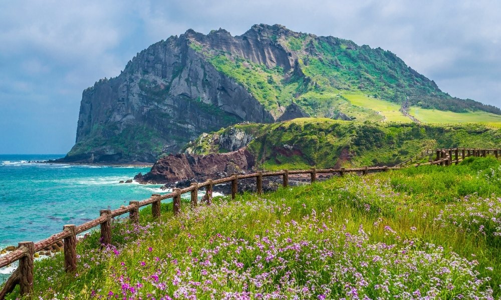 Jeju Island cảnh đẹp hàn quốc