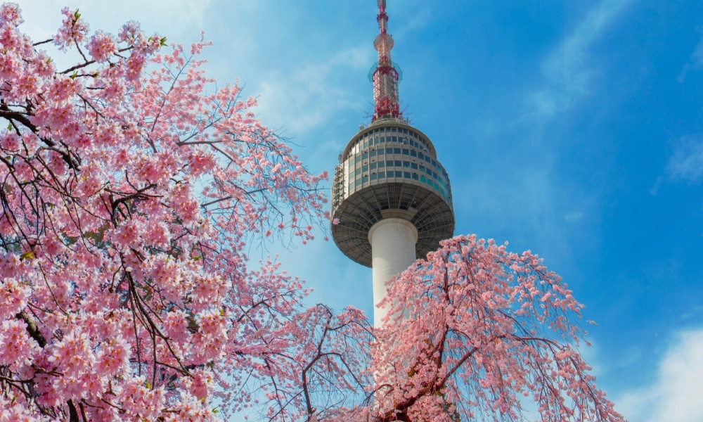 du lịch Seoul Valentine