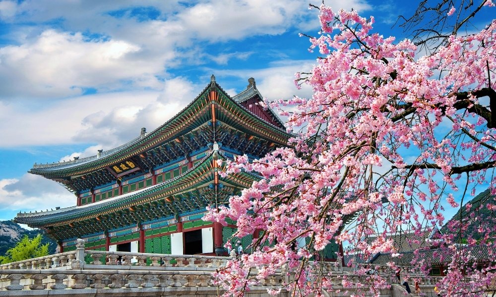 Kinh nghiệm du lịch Seoul