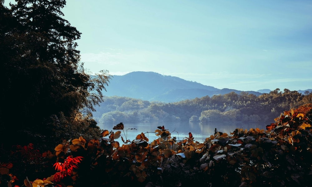 Thời điểm lý tưởng để bay từ Hà Nội đến Shizuoka