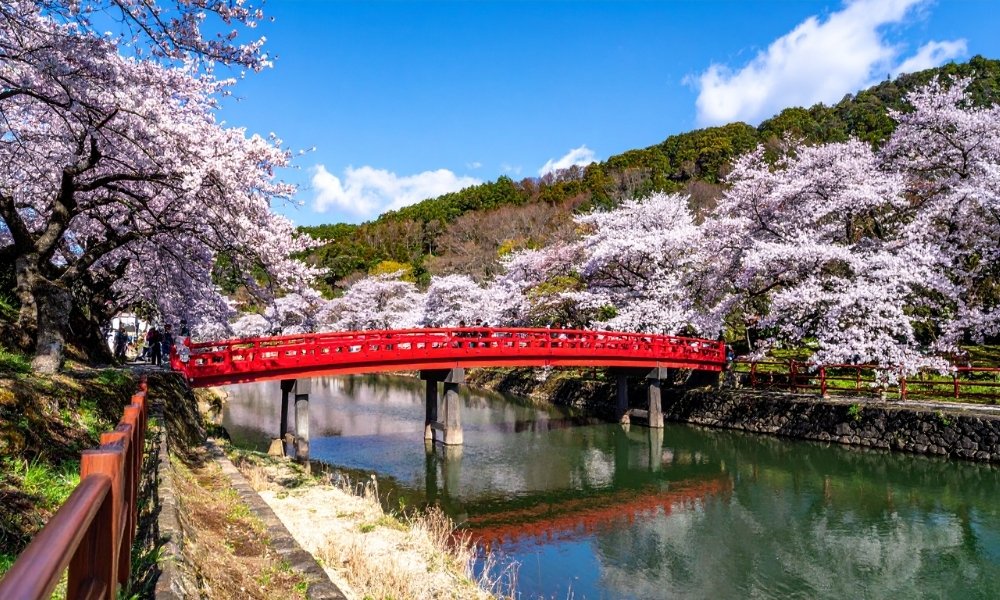 Vì sao du lịch Nhật Bản vào dịp Tết ngày càng được yêu thích?