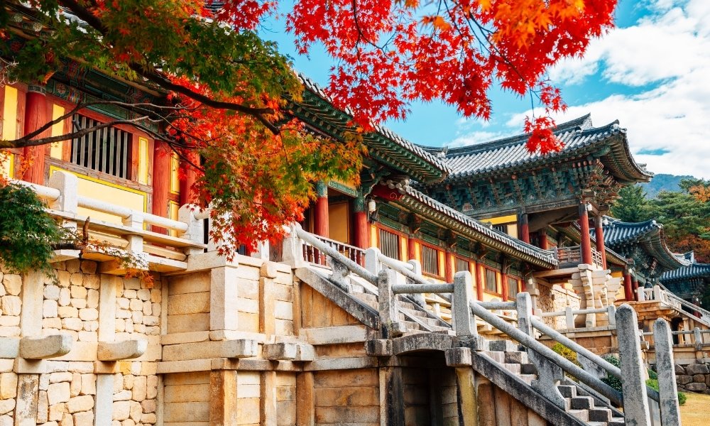 Thời điểm lý tưởng du lịch Hàn Quốc