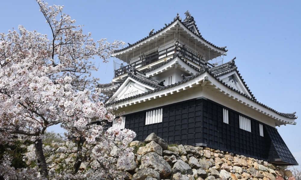 Vì sao nên chọn Shizuoka khi du lịch Nhật Bản