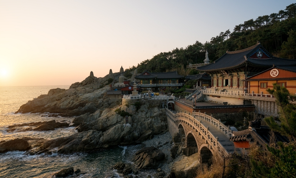 Vì sao cảnh đẹp Busan thu hút du khách?