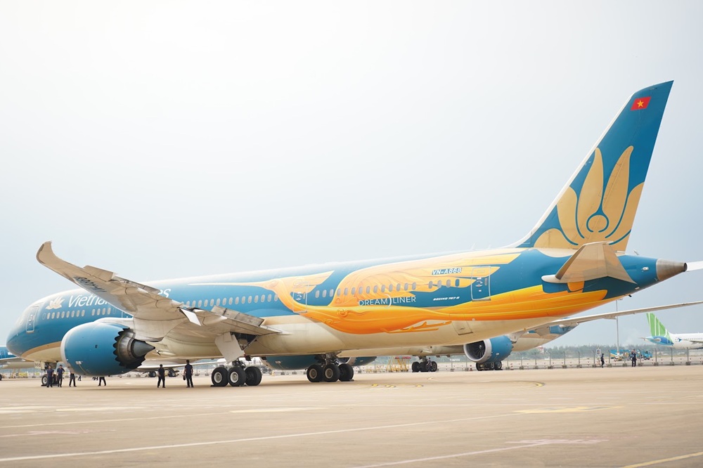 Boeing 787-9 Dreamliner In Hình Chim Lạc