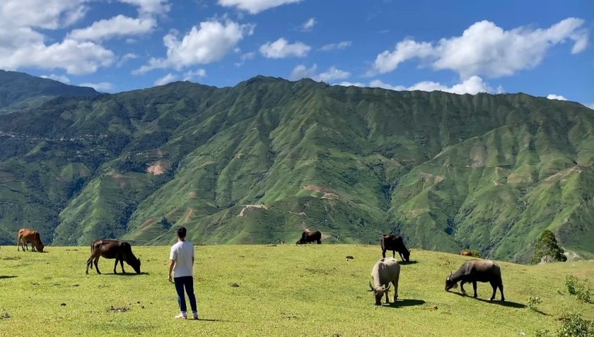 Thảo nguyên Tà Xùa