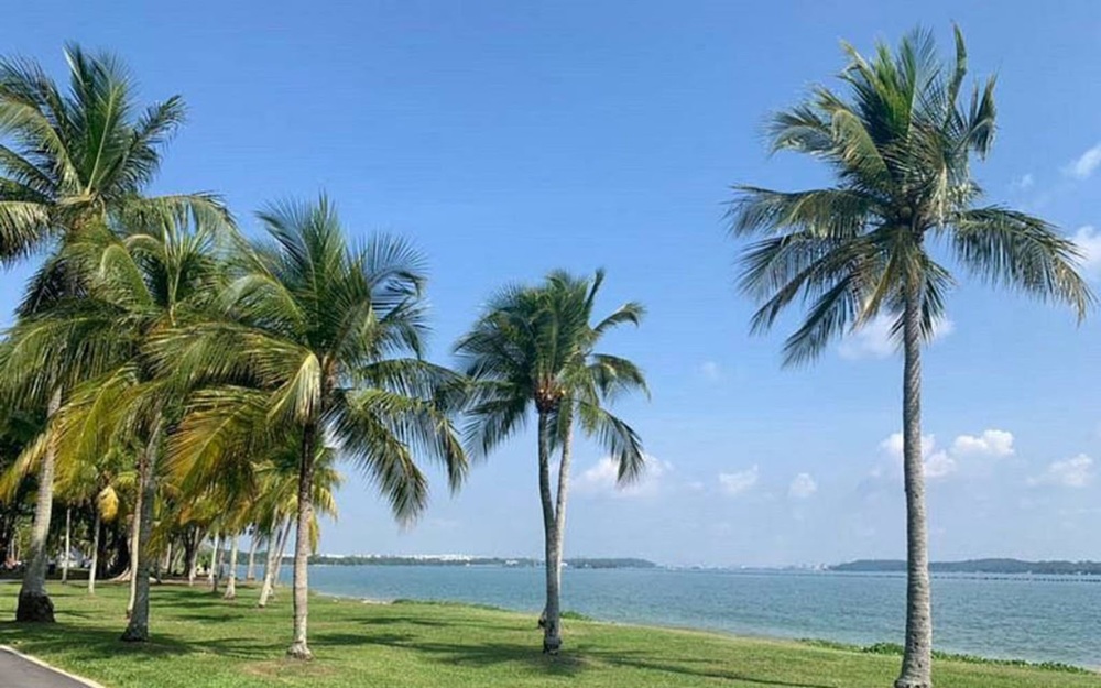 Bãi biển Pasir Ris top bãi biển đẹp Singapore