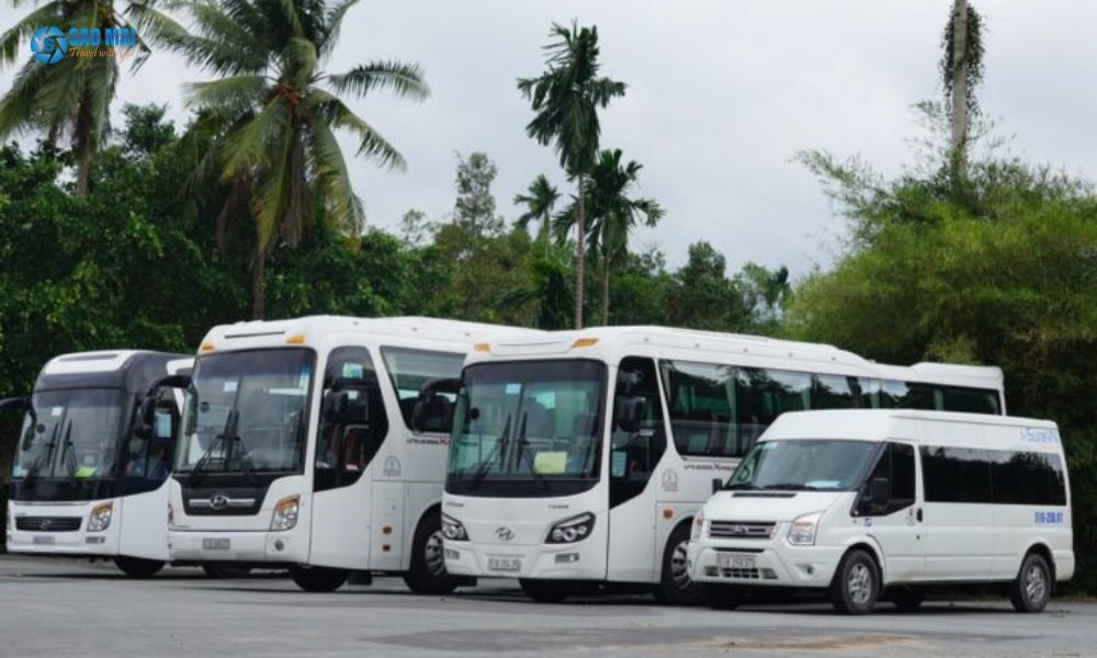 Dịch vụ thuê xe du lịch TPHCM là gì?