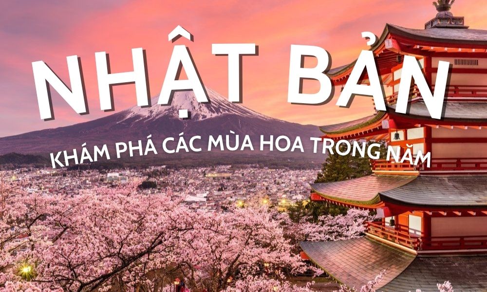 Du lịch Nhật Bản mùa nào đẹp? Khám phá các mùa hoa trong năm