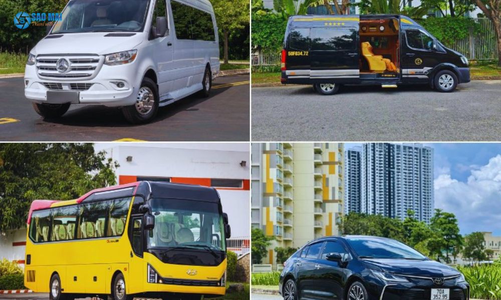 Gợi ý chọn thuê xe sao mai theo nhu cầu thực tế