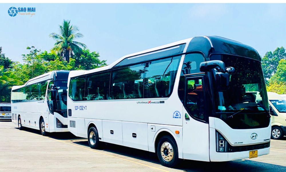 Khi nào nên chọn xe 29 chỗ?