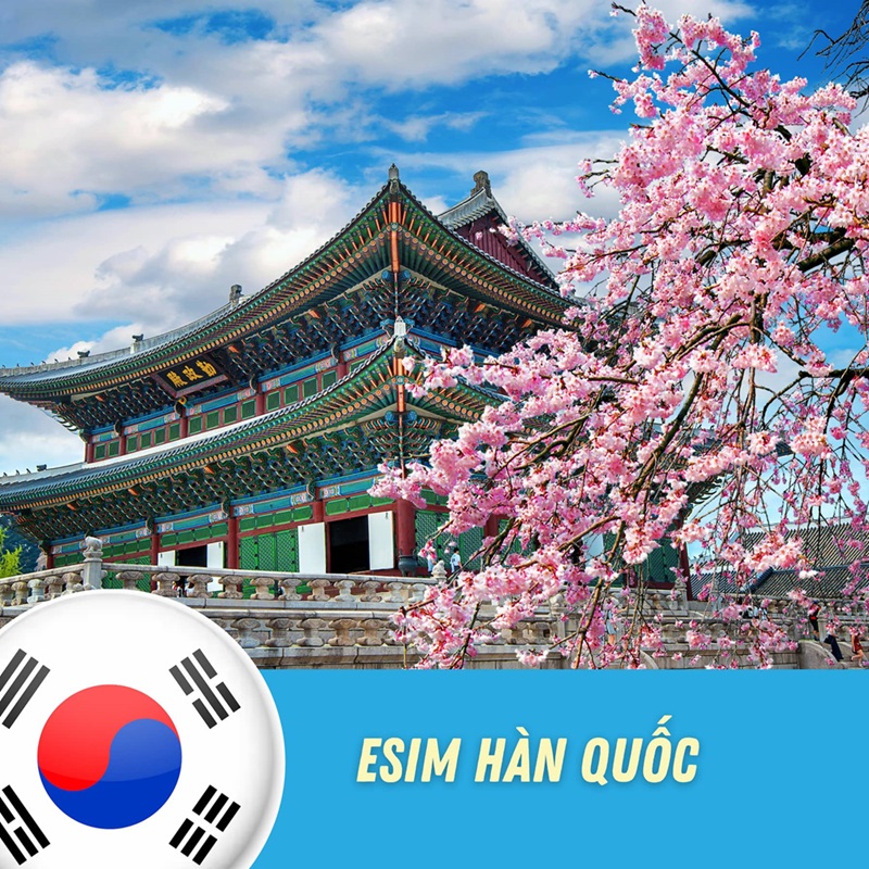 eSIM du lịch Hàn Quốc – Check-in thả ga, online mọi lúc