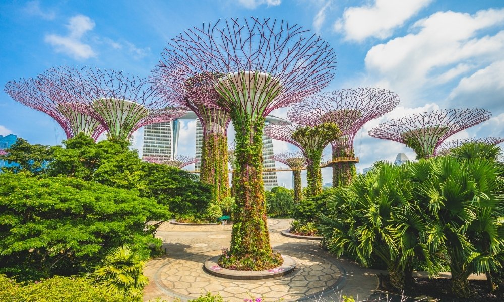 Gardens by the Bay
