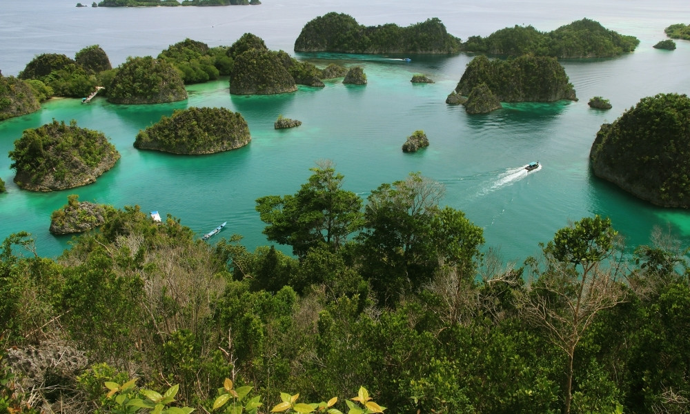 Piaynemo – Viewpoint nổi tiếng nhất Raja Ampat