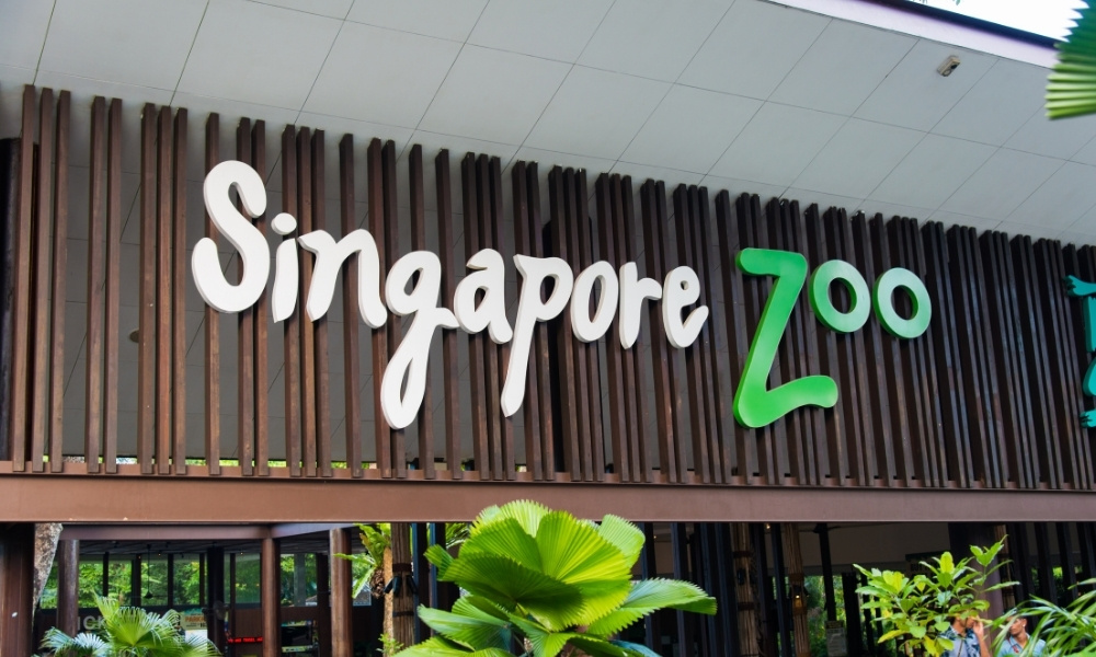 Singapore Zoo và River Safari