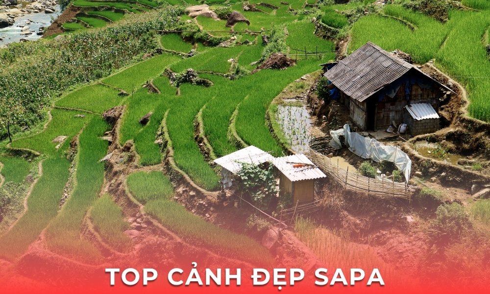 Top cảnh đẹp Sapa – Những điểm đến phải ghé khi đi du lịch Tây Bắc