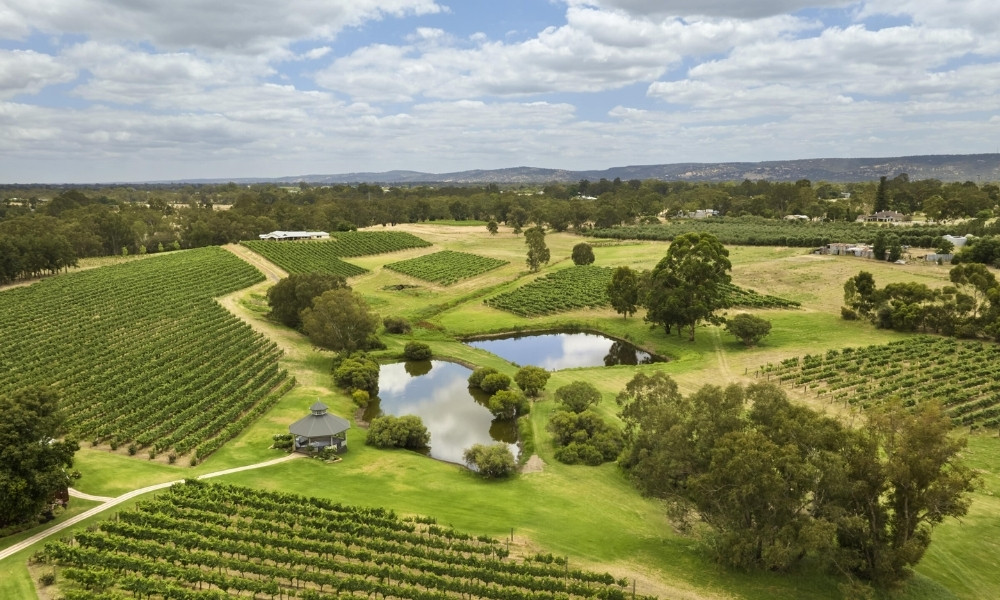 Swan Valley