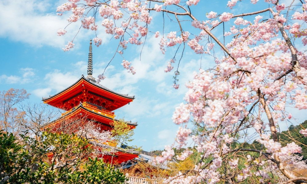 Kyoto du lịch nhật bản tháng 6