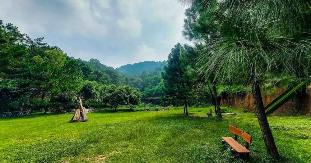 Không gian xanh mát, trong lành