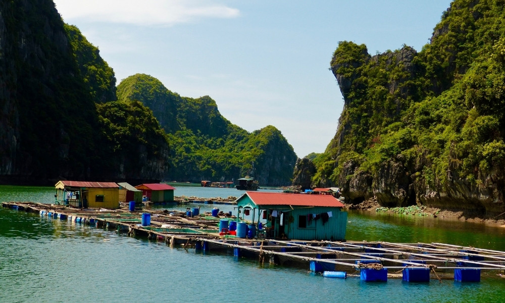 Làng chài Cửa Vạn – Trải nghiệm văn hoá biển