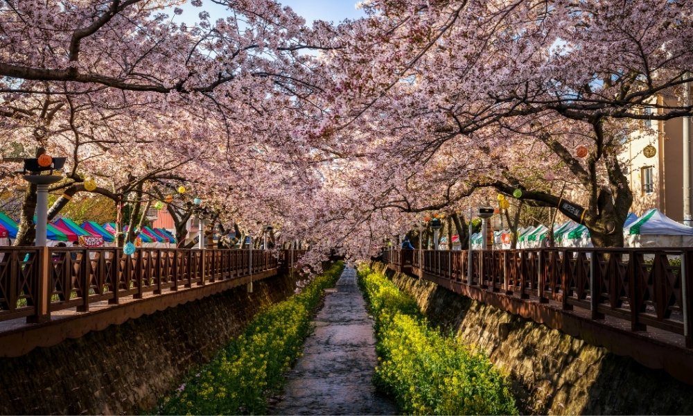 Suối Yeojwacheon (Changwon)