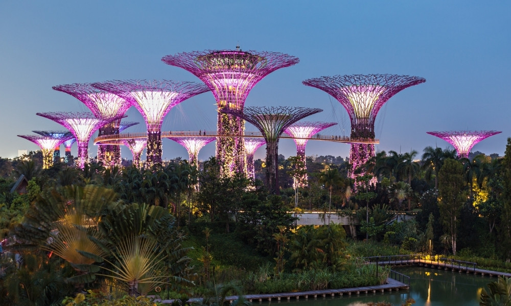 Gardens by the Bay – Kỳ quan xanh giữa lòng đô thị