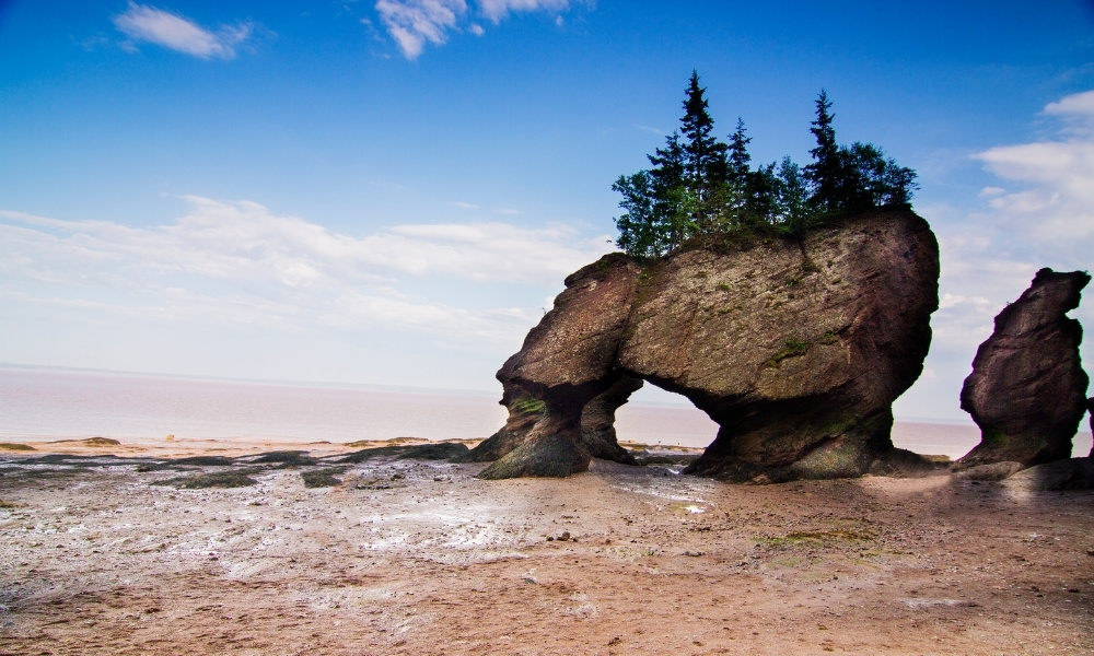 Vịnh Fundy – Hiện tượng thiên nhiên độc đáo