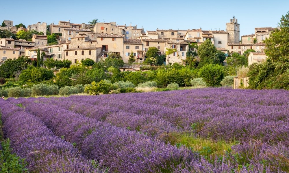 Vùng Provence – Vùng đất oải hương tím