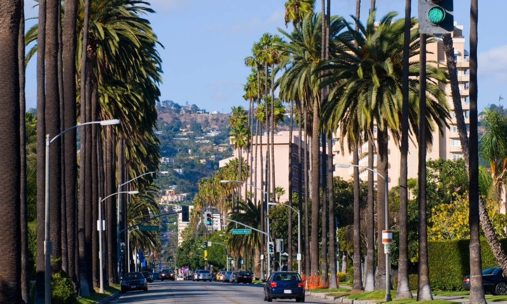 Beverly Hills top cảnh đẹp los angeles