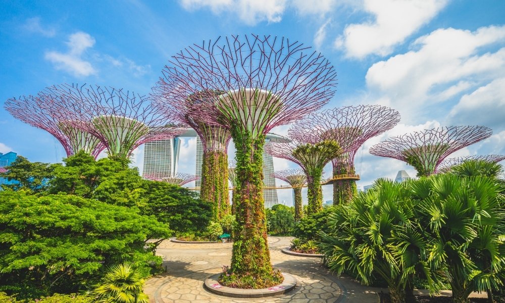 Gardens by the Bay du lịch singapore tháng 7