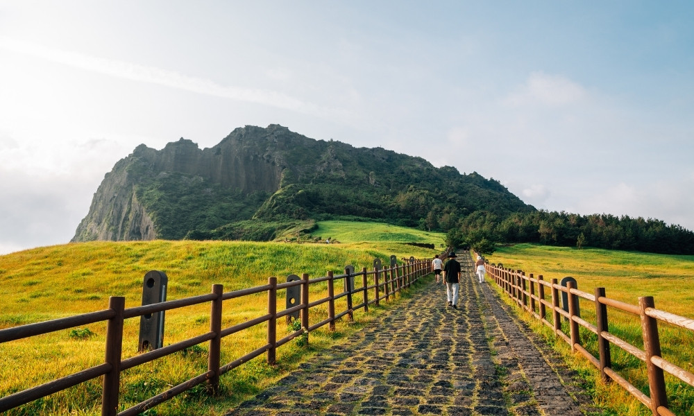 Jeju vé máy bay đi hàn tháng 11