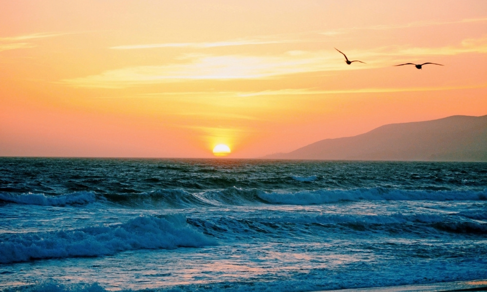 Malibu top cảnh đẹp los angeles