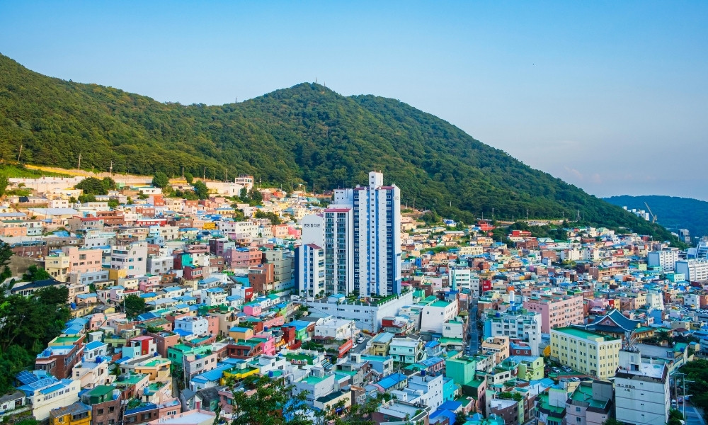 Nên Du Lịch Busan Vào Thời Gian Nào?