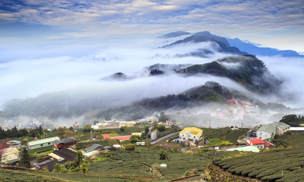 Alishan du lịch đài loan tháng 7