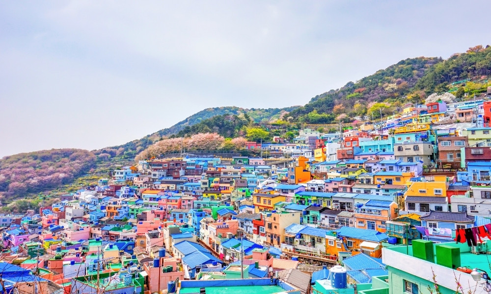 Busan du lcihj hàn quốc tháng 8