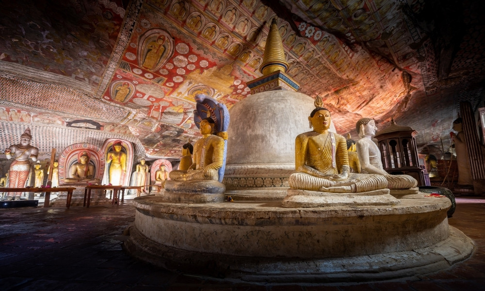 Dambulla du hí sri lanka