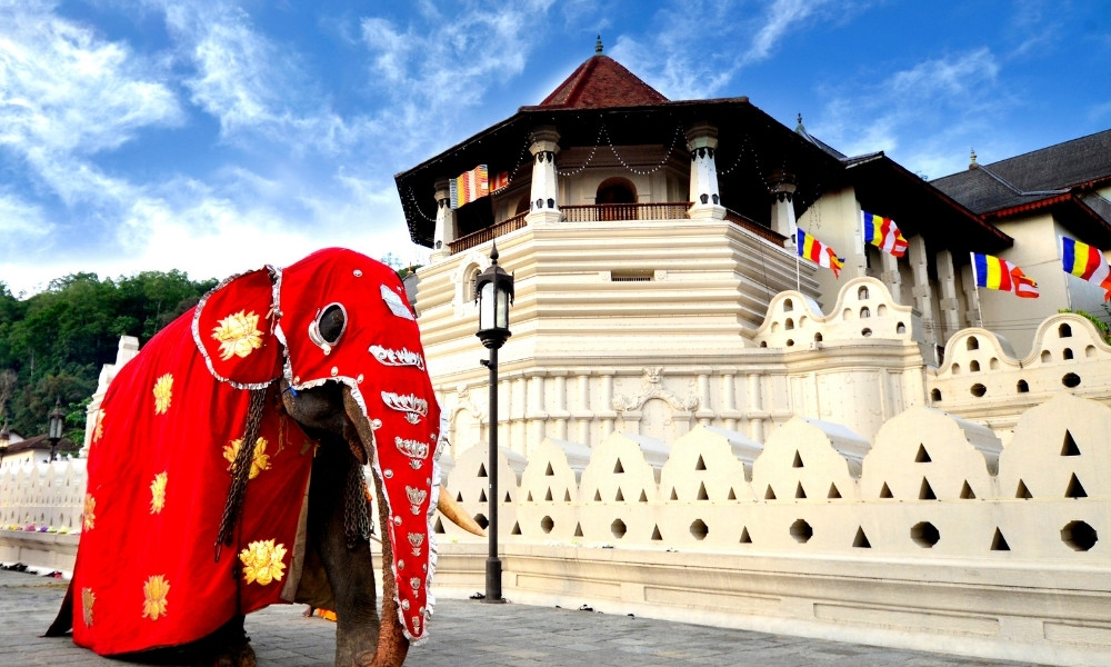 Kandy du hí sri lanka