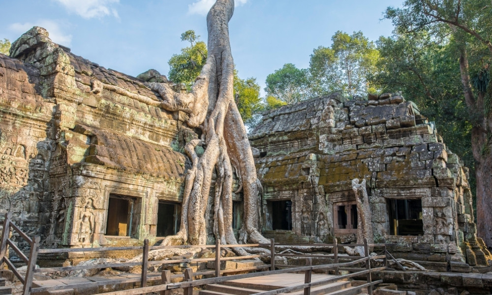 Ta Prohm top cảnh đẹp siem reap