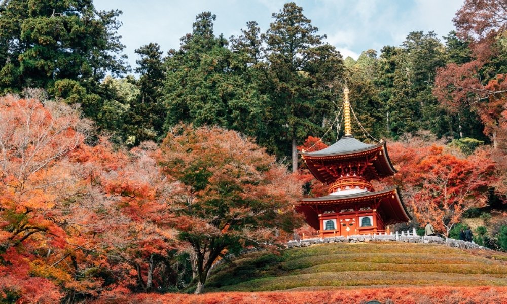 Công viên Minoh cảnh đẹp osaka