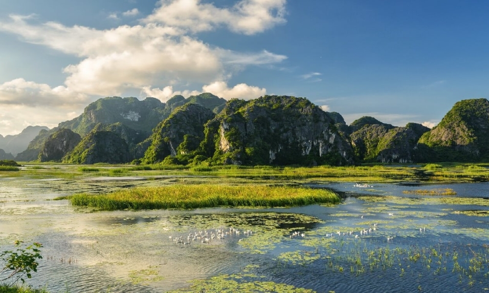 Đầm Vân Long
