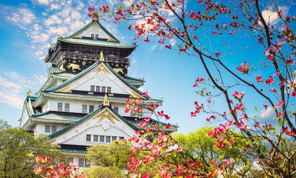 Lâu đài Osaka cảnh đẹp osaka