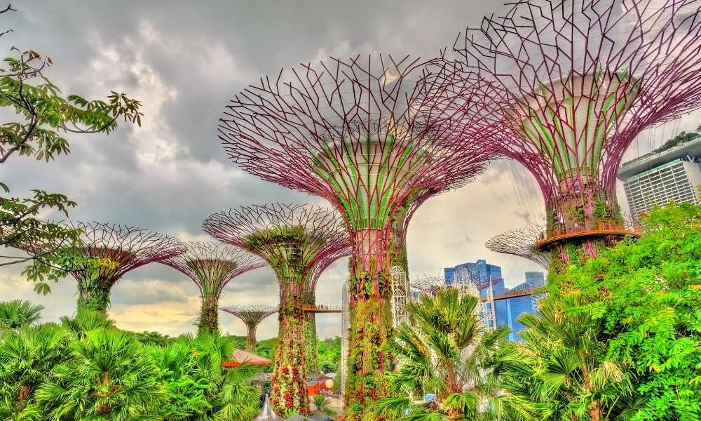 Gardens by the Bay