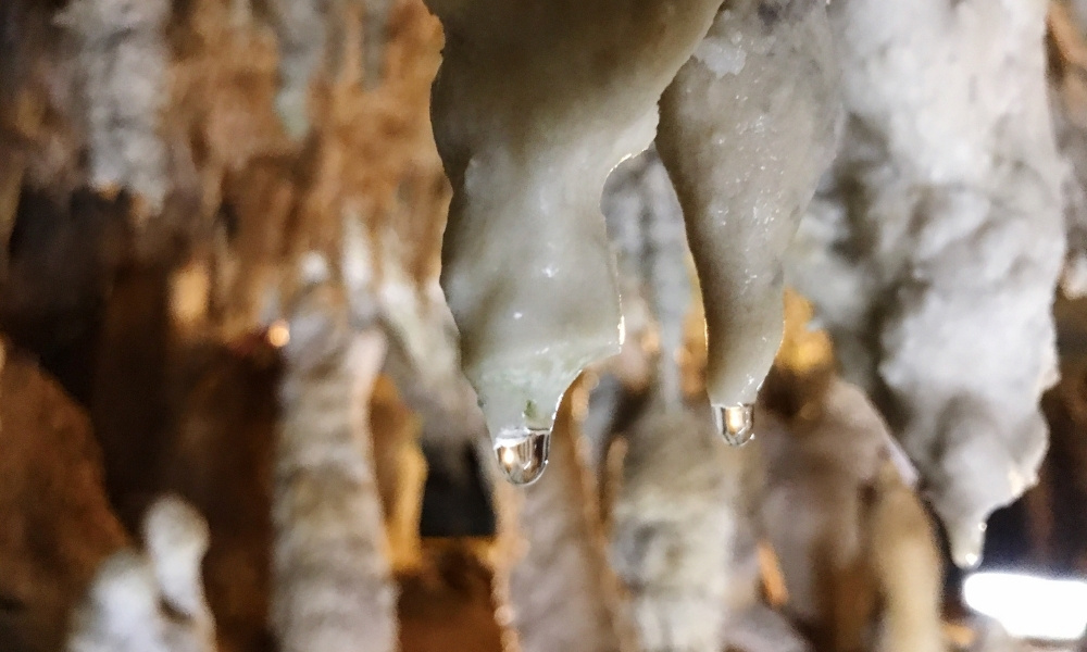 Hang động đá vôi Ishigaki