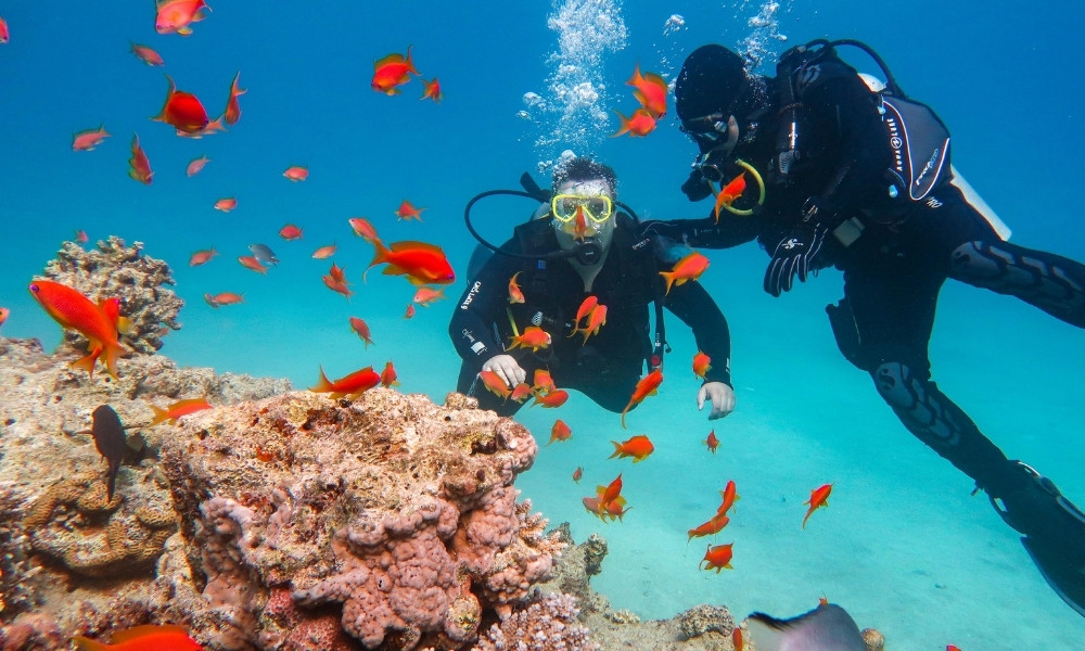 Lặn biển và snorkeling