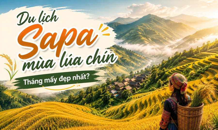Du lịch Sapa mùa lúa chín: Tháng mấy đẹp nhất, đi đâu?