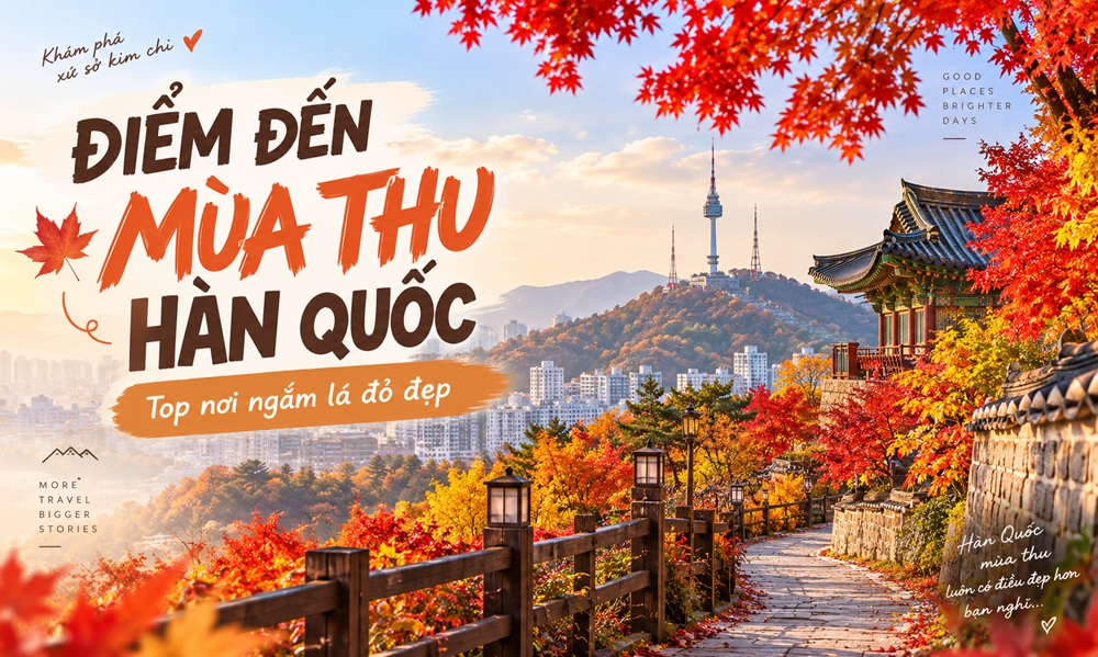 Điểm đến mùa thu Hàn Quốc: Top nơi ngắm lá đỏ đẹp nhất