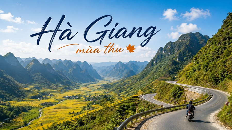 Hà Giang – săn mùa vàng giữa núi đá