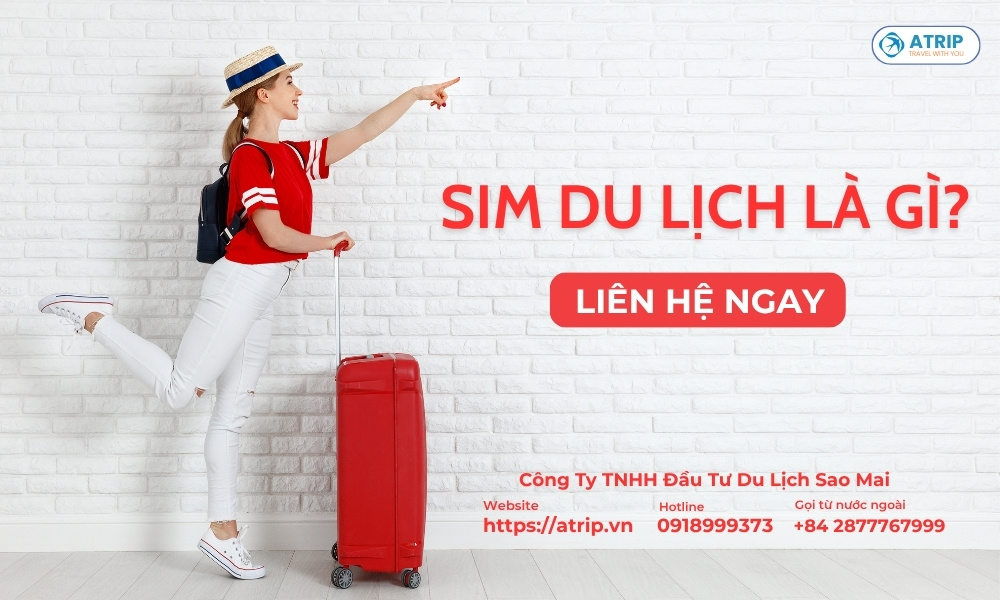 Sim du lịch là gì? Tất tần tật thông tin cần biết trước khi đi nước ngoài
