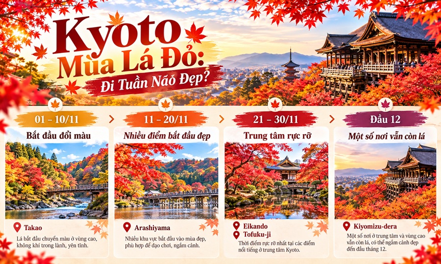 So Sánh Các Điểm Ngắm Lá Đỏ Kyoto